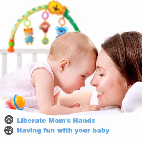 Image of Pau1Hami1ton Baby Stroller Arch Toys, Car Seat Toys,Baby Gifts.S-19(Lion)