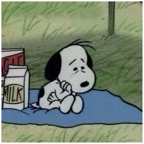 what the fuck is wrong with you?