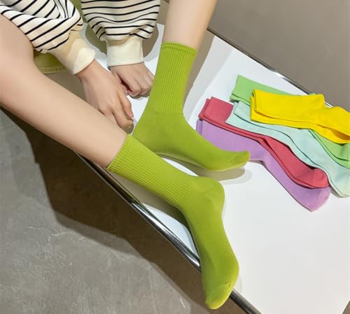 Image of Womens Colorful Basic Sock -Unique Knit Cotton Crew Socks 3 Pack