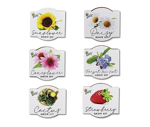 BUZZY Seeds Terracotta Mini Grow Pots | Herb, Plant, Flower Starter Kit for Kids & Adults | Assorted 6-Pack, Classic Collection | Guaranteed to Grow | Best Indoor Grow Your Own Plant Gardening Gift