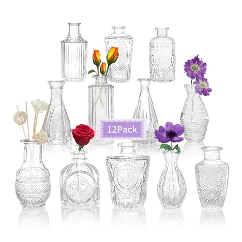 Bud Vases Set of 12Pcs Small Glass Vases for Flowers Bud Vases in Bulk Vintage Vases for Centerpieces Flower Vase Wedding Centerpieces for Tables Mini Clear Glass Vase Wedding Decorations