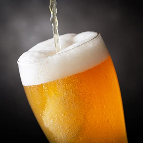 Homecraft Black Stainless Steel Easy-Dispensing Tap Mini Kegerator Cooling System, Includes Reusable Growler, Co2 Cartridges, Removable Drip Tray & Cleaning Kit, Beer Fresh For 30 Days, 5-Liter #TOP6