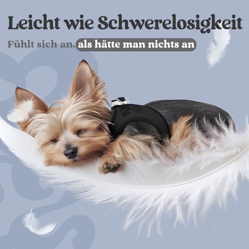 rabbitgoo Hundegeschirr Kleine Hunde, Step-in Welpengeschirr Weich Mesh für Spaziergänge, Atmungsaktives und Reflektierendes Brustgeschirr für Kleine und Mittelgroße Hunde, Schwarz, L