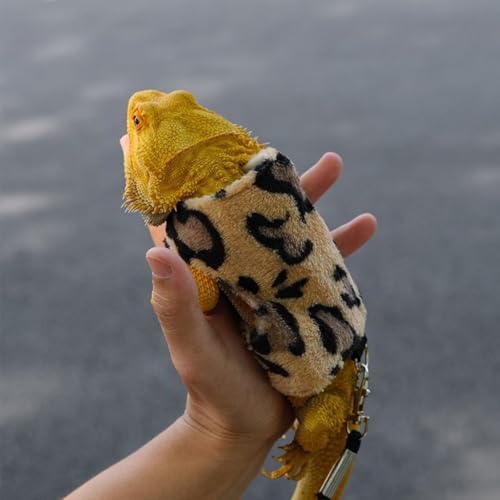 Conjunto de arnês e coleira de dragão barbudo – Corda de tração de lagarto ajustável, à prova de fug