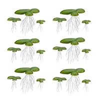 LuckyOpt 1Pack Schwimmpflanzen Miniteich, Plastik Aquarium Schwimmpflanzen Teich, Wasserlinsen Teich Pflanzen für Fischtank Aquarien (1)