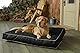 Dalema Hundebett-Bezug (LxBxH): 76.2x50.8x10.2 cm, wasserdicht, befüllbar, 600D Oxford-Ersatzbezug waschbar und abnehmbar, orthopädisch, Haustierbett-Matratzenbezug, schwarz. Nur Bezug.