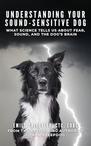 Understanding Your Sound-Sensitive Dog: What Science Tells Us About Fear,