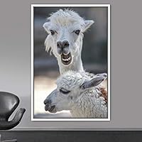 Framed Canvas Wall Art Llama Animals Camels Expressive Farmhouse/Country Living Room Multicolor Photography - 16x24 inches
