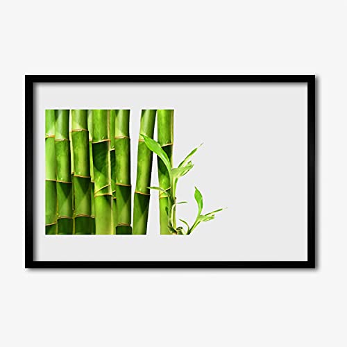 Plante de bambou affiche encadrée 60x40 cm pour salon et chambre
