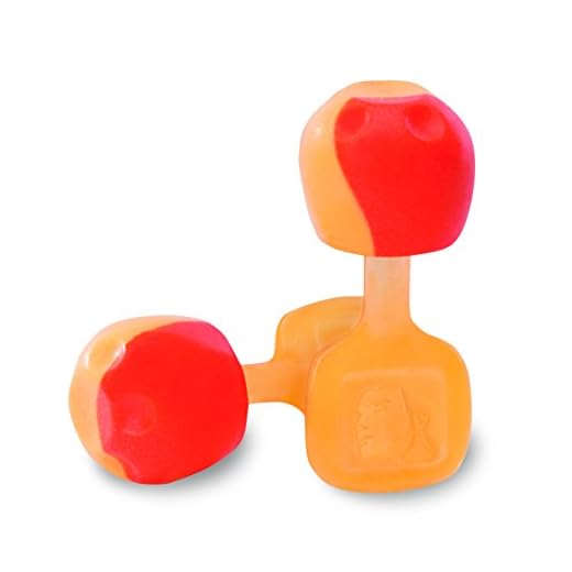 Howard Leight by Honeywell TrustFit Pod Push-in Reusable Foam Earplugs, 100 Pairs Per Box (TRUSTFITPOD-1)