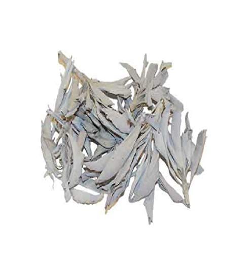 1 Oz California White Sage (Salvia Apiana) for Purifying, Cleansing, Healing, Metaphysical, Meditation and Wicca