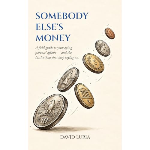 Somebody Else's Money Audiolibro Por David Luria arte de portada