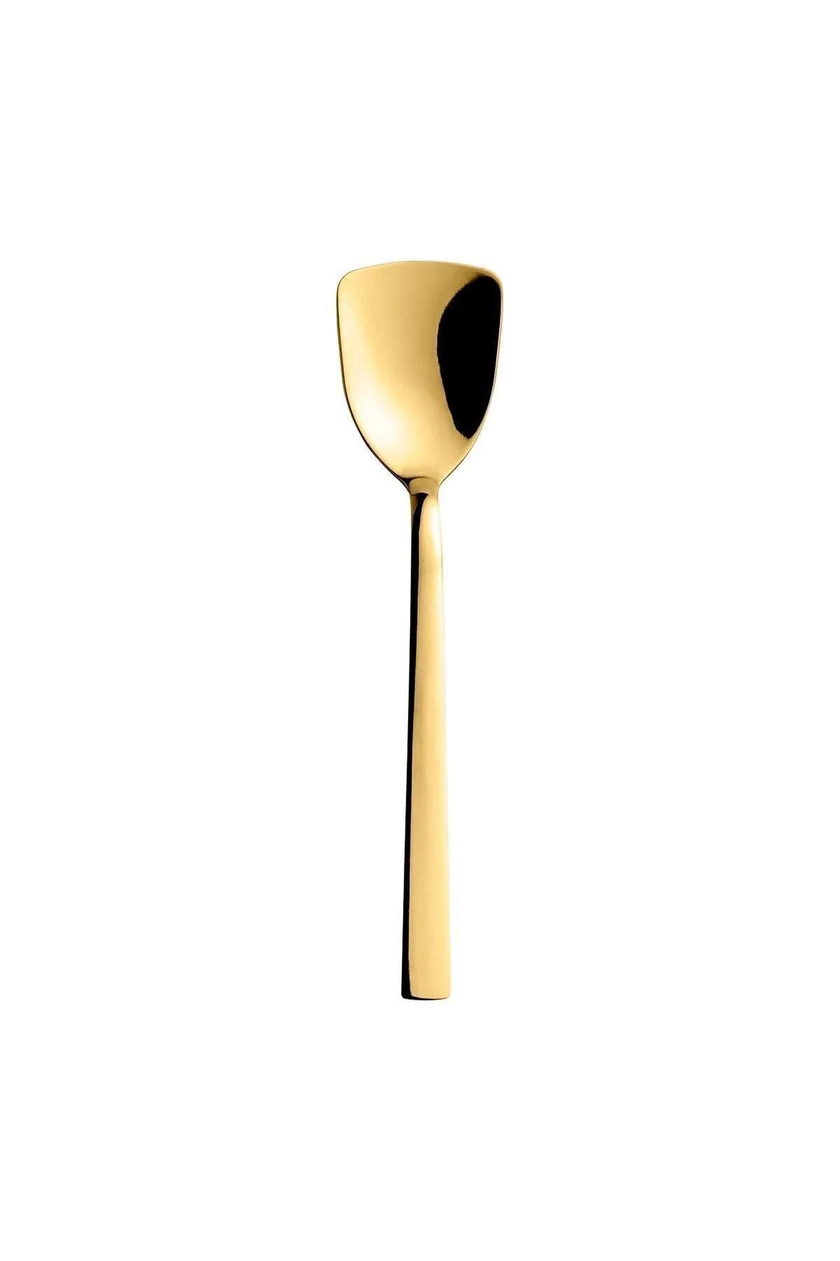Gold Renk Paslanmaz Çelik Dondurma Kaşığı Seti, Çok Renkli, Titanyum Kaplama, 16 cm, 6 Adet