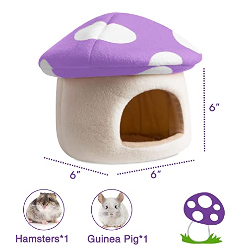 Hollypet Pet Bed Small Animals Bed Dutch Pig Hamster Nest Hedgehog Rat Chinchilla Guinea Habitat Mini House, Purple Mushroom, S #TOP1