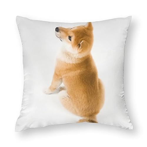 VACSAX クッションカバー 45x45cm 柴犬 可愛い 犬柄 可愛い おしゃれ インテリア 部屋飾り 抱き枕カバー モダン 家庭装飾 椅子 車内 ベッド ソファー用 ソファ背当て 座布団カバー ピロケース