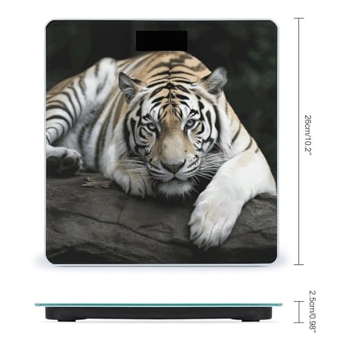 Báscula digital de baño Tiger Lie On Rock para peso corporal miniatura 2