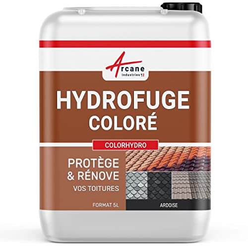 Hydrofuge Toiture Coloré - Imperméabilisant Tuile - COLORHYDRO - 5 L (jusqu'à 20 m²) Ardoise - RAL 9004 - ARCANE INDUSTRIES