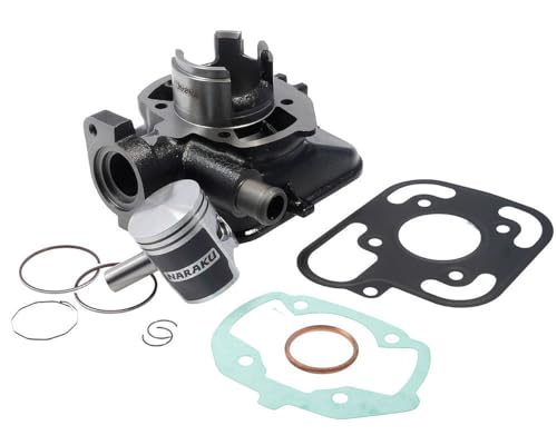 NARAKU kit cylindre 50ccm compatible pour Peugeot JetForce, Ludix 2 50cc, scooter