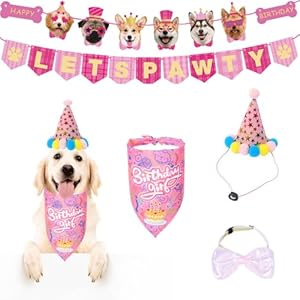 Dog Birthday Party Supplies, Hat, Bandana, Decorations, Lets Pawty Banner, Bowtie, Gifts for Small Medium Large Dogs