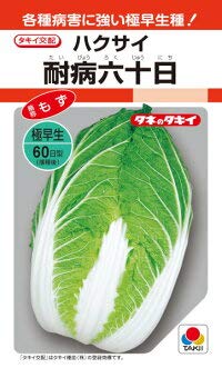 タキイ種苗 ハクサイ 耐病六十日