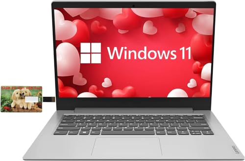 Lenovo IdeaPad 1 portátil, pantalla HD antirreflejos de 14 pulgadas, Intel Quad-Core Pentium Silver N5030 (Beat i3-1005G1), gráficos Intel UHD, 4 GB DDR4 RAM, 384 GB SSD, Windows 11 en modo S