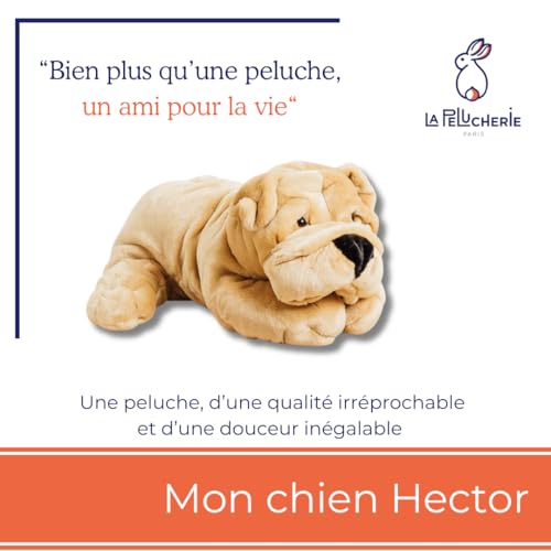 La-Pelucherie-Ma-Peluche-Chien-Hector-Grand-65-cm-Miel-Doudou-Chien-Tout-Doux-pour-Bebe-Peluche-Realiste-et-Fabriquee-Main-Garantie-a-Vie-Marque-Francaise La Pelucherie - Ma Peluche Chien Hector - Grand 65 cm Miel - Doudou Chien Tout Doux pour Bébé - Peluche Réaliste et Fabriquée Main - Garantie à Vie - Marque Française – Image 3