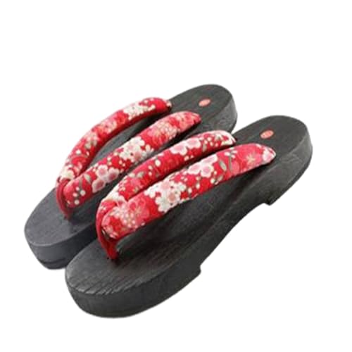 [DONSHUR]  T_ fB[X @ ɂȂ n  a   ₷  a   킢 ԉΑ Ղ  a  ߗp R[f q[   Z l p