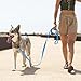 MLWSKERTY Dog Leash Slip Walking Leash Rope 10-50ft Long Pet Strong Training Walking Swimming Hiking