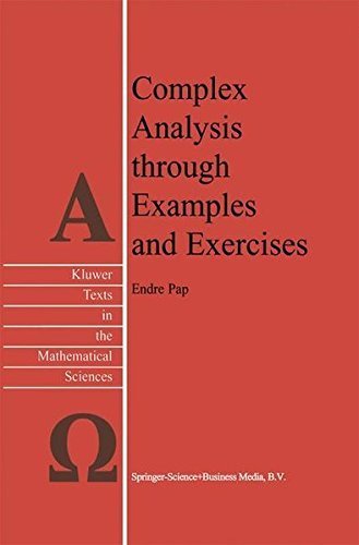Complex Analysis through Examples and Exercises (Texts in the ...