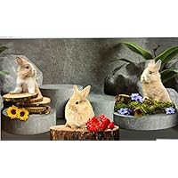 Tappeto Cucina Antiscivolo Pellecchia - Lavabile, PVC/Cotone, Stampa Foglie - Foto 10