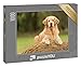 Produktbild puzzleYOU: Puzzle 1000 Teile Golden Retriever entspannt auf einem Heuballen  aus der Puzzle-Kollektion Hunde, Golden Retriever