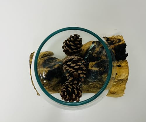 My Square Mile Molten Glass Round Decorative Bowl On Wood Root Stand Glass Rustic Ornament Sculpture Key Sweet Display Dish (Extra Large)