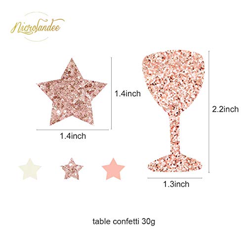 Nicrolandee Rose Gold Party Decorations -12Pcs Elegant Party Supplies Tissue Pom Poms Paper Lantern Glitter Confetti 30G For Wedding Bridal Shower Baby Shower Birthday Bachelorette Party Decorations #TOP3