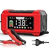 Husgw Chargeur de Batterie, 12V20A/24V10A Chargeur Batterie Lithium Polyvalent, LiFePO4 Batterie Portable Voiture avec Réparation Automatisée, Maintien Charge pour Voiture/Moto/Tondeus/AGM/Gel/Wet/SLA