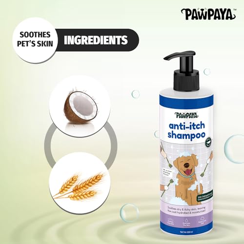 Image of Pawpaya Shampoo Pawpaya Shampoo for Dogs | Gentle Deep Cleansing Formula for Healthy Skin & Soft, Shiny Coat | Suitable for All Dog Breeds & Coat TypesDogs (Anti-Itch Shampoo)