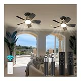 aupuslite 2 Pack 20' Socket Fan Light with Remote, 30W 2000 Lumens, 3 Colors 3000-6000K Screw in Ceiling Fan in Light Socket 6 Speed Wind Small Ceiling Fan for Bedroom, Living Room, Kitchen, Garage