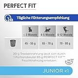 PERFECT FIT Junior Trockenfutter für junge Katzen unter 1 Jahr - Huhn, 7 kg (1 Beutel)