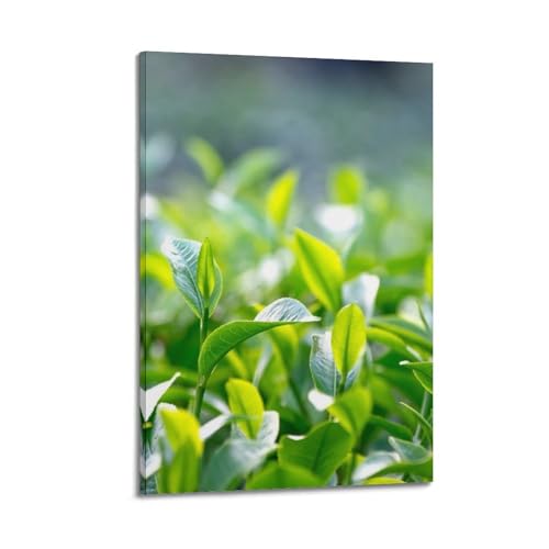 Poster mural moderne salon chambre tableau suspendu thé vert 40x60cm ZHOUKEG