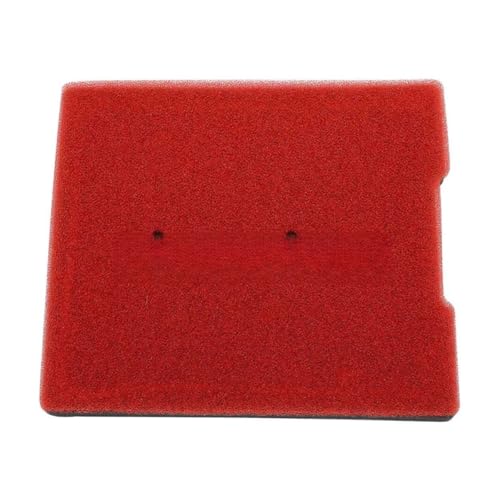 Hjiaodq Filtro Admisión Accesorios para Filtros Aire Motocicletas Piezas Repuesto para Motocicletas para KLE 300 para KLE300 para X300 2017 2018 2019 2020 2021