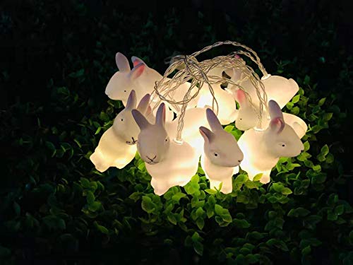 CHANG Catena luminosa a LED, 1,65 m, 10 LED