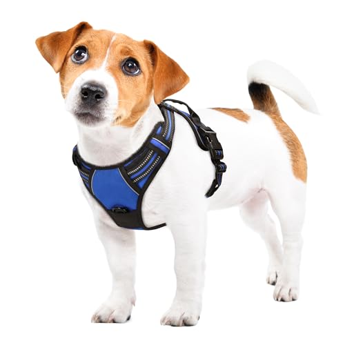 Funfox Dog Harness No Pull, Adjustable Pet Vest Harness Blue S with Handle, 2 Leash Clips for Daily Walking Easy Control, Soft Durable Reflective Comfortable for Small Sized Dogs