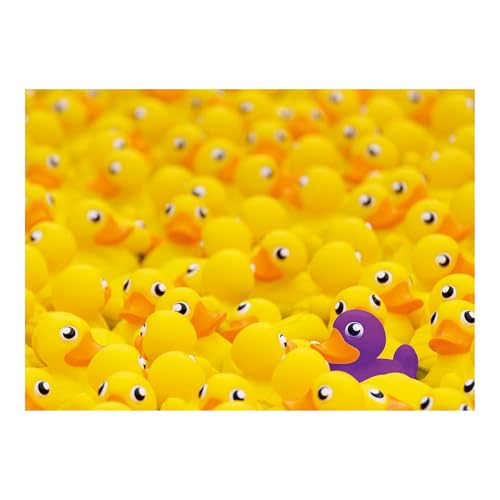 Ravensburger - Puzzle 1000 Piezas Patos De Goma Challenge | Puzzle Adultos 70x50cm | Puzles 1000 Adultos | Rompecabezas Niños +14 Años | Puzzles 1000 Piezas De Patos De Goma