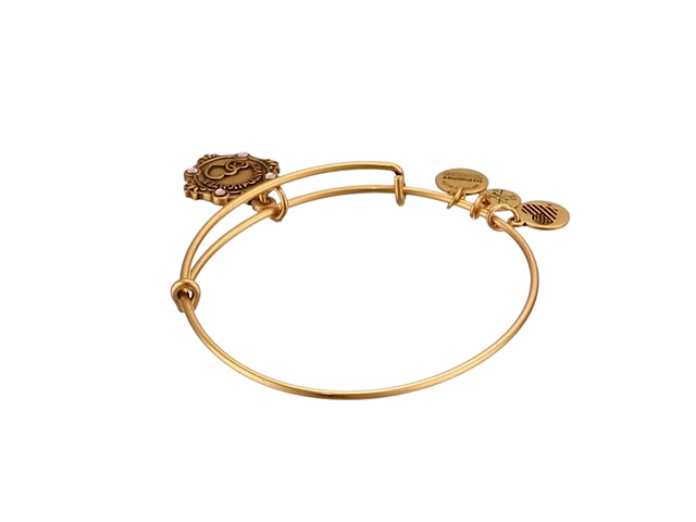 Amazon.com: Alex and Ani Womens Because I Love You A18BILY06RG