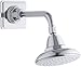Kohler K-13137-AK-CP Pinstripe Single-Function Katalyst Showerhead, 1, Polished Chrome