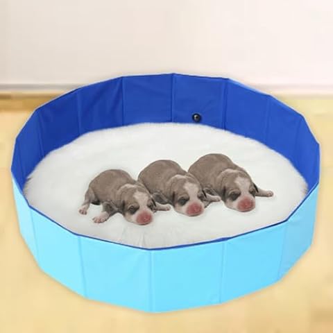 Cdycam Portable Birthing Pool for Dogs and Puppies, Foldable Whelping Pen, Dog Whelping Pool Box, Easy to Clean, Portable Hard Collapsible Pet Swimming Bath Pool (XL-40"x12") Cover