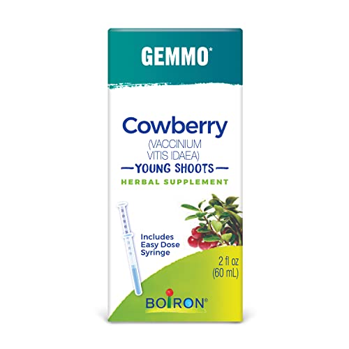 Cowberry Young Shoots Extract (Vaccinium vitis-idaea)