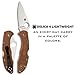 Spyderco Delica 4 Lightweight Signature Knife with 2.90