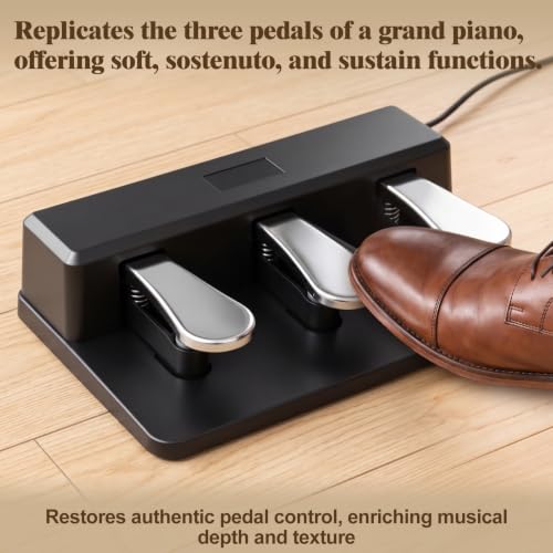 AUREOCORDA 88 Key Weighted Digital Piano, Hammer-Action Keyboard, for Beginners with MIDI Functionality (Wood Brown)
