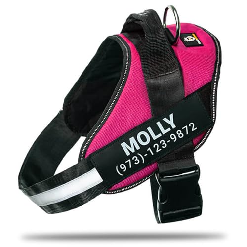 Personalized No-Pull Dog Harness with Name Patch, Padded, Adjustable and Reflective Service Dog Vest, Easy On Dog Harnesses for Medium Large Small Sized Dog Rose Red, M