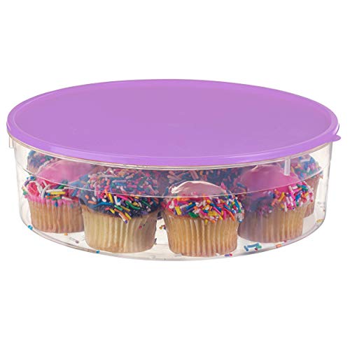 Best Freezer Container For Cupcakes